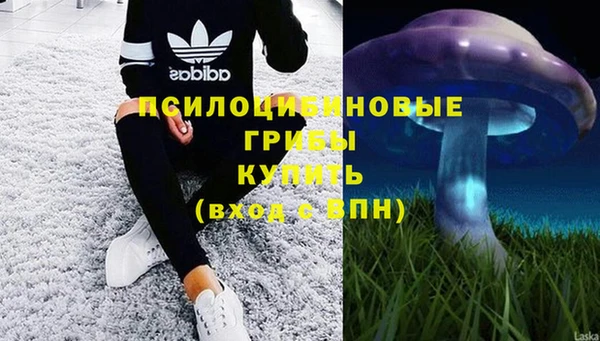 мескалин Абаза