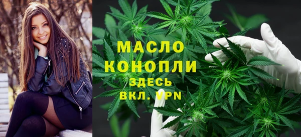 молекула духа Надым