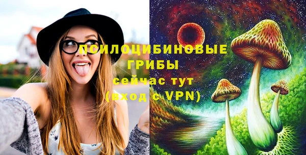 дмт Абинск