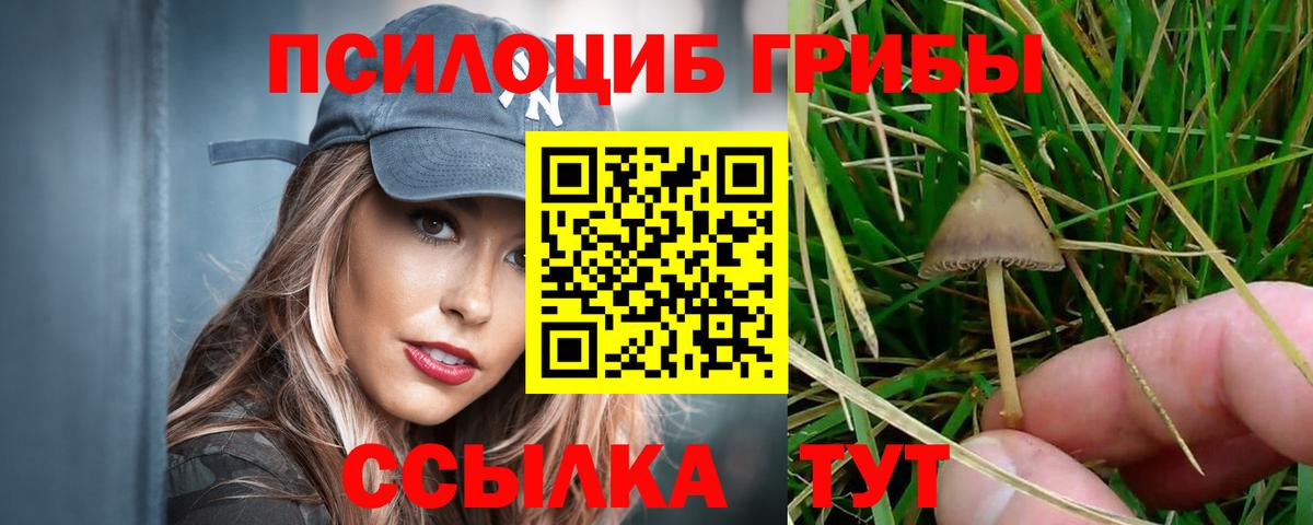 Alpha PVP Александров