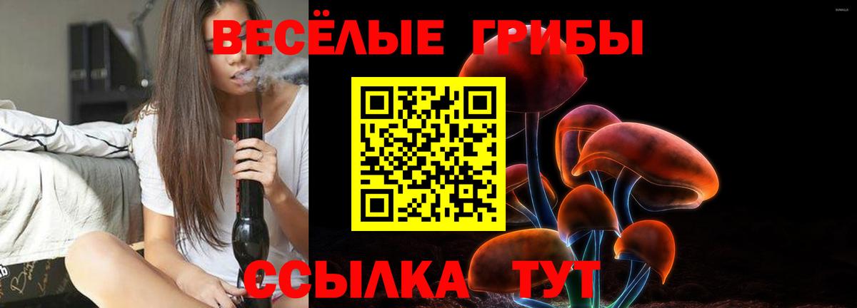 Галлюциногенные грибы Cubensis Александров