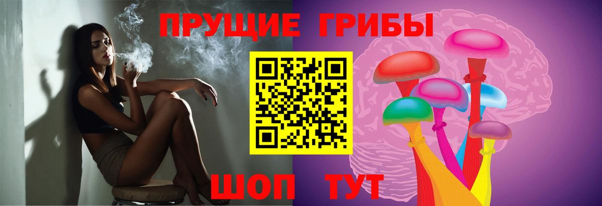 Александров  Галлюциногенные грибы Psilocybine cubensis  Вход с VPN  Галлюциногенные грибы Cubensis 
