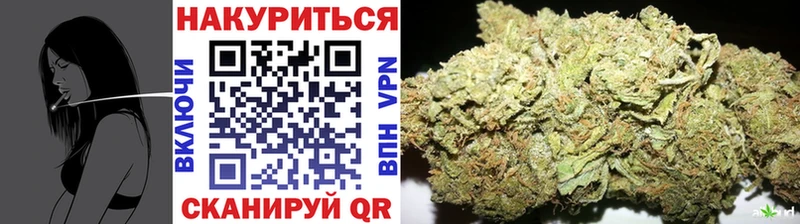 где купить наркоту  Александров  Бошки Шишки марихуана 